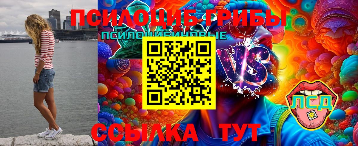 Александров  Псилоцибиновые грибы прущие грибы  Вход с VPN 