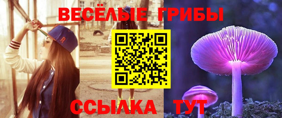 Галлюциногенные грибы мицелий Александров